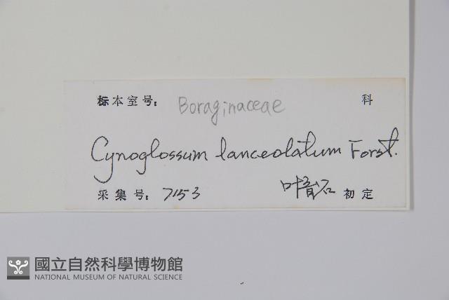 小花倒提壺藏品圖，第2張