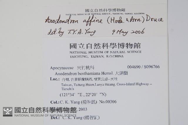 小錦蘭藏品圖，第2張