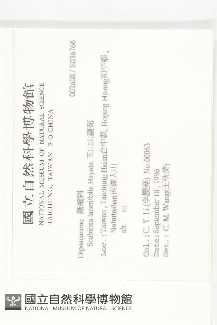 玉山山蘿蔔藏品圖，第2張