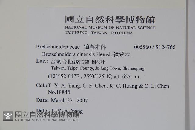 鐘萼木藏品圖，第2張