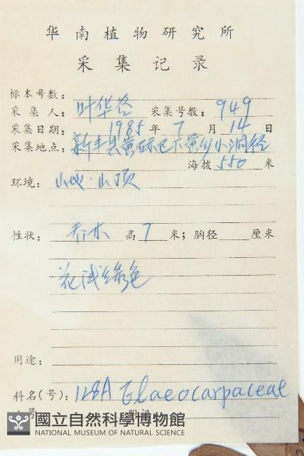 杜英藏品圖，第2張