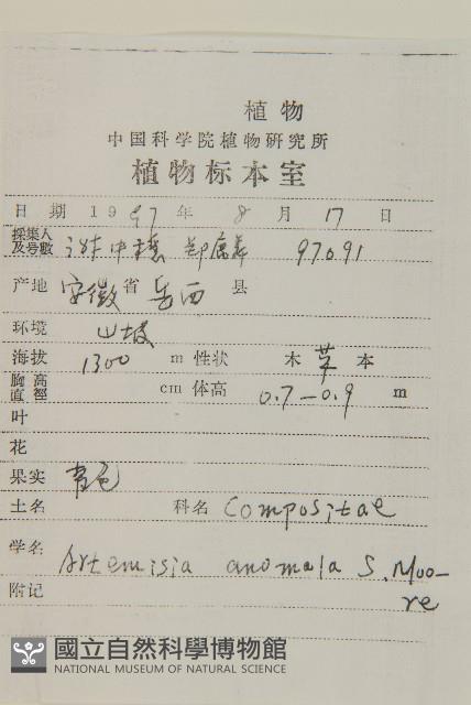 珍珠蒿、奇蒿藏品圖，第2張