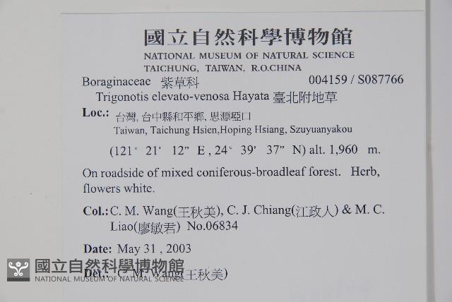 臺北附地草藏品圖，第2張