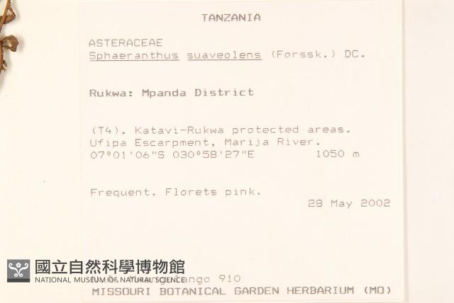 登錄號:S096266藏品圖，第2張