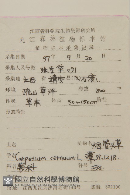 杓兒菜藏品圖，第2張