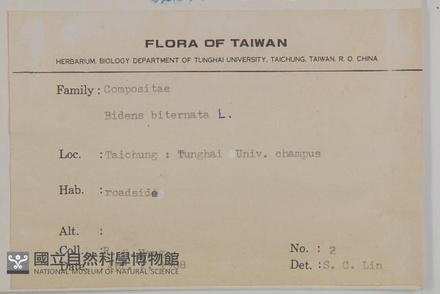 鬼針舅藏品圖，第2張