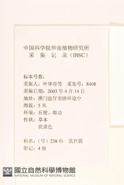 苦滇菜、苦菜藏品圖，第2張