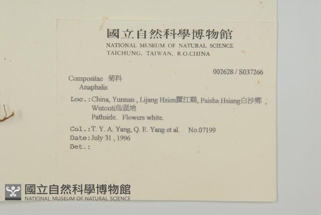 登錄號:S037266藏品圖，第2張