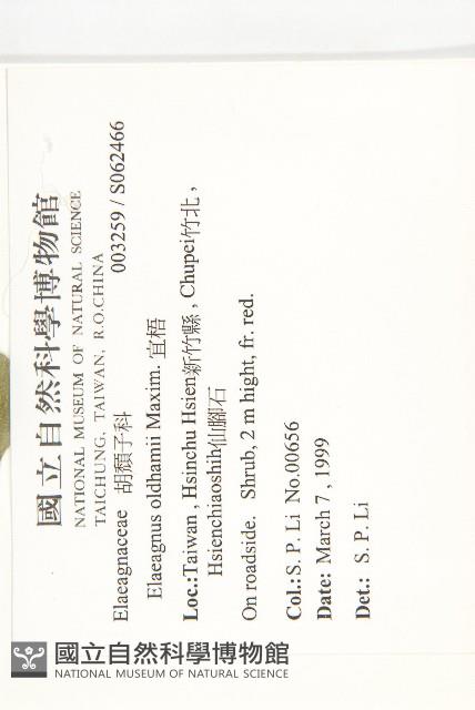 宜梧藏品圖，第2張