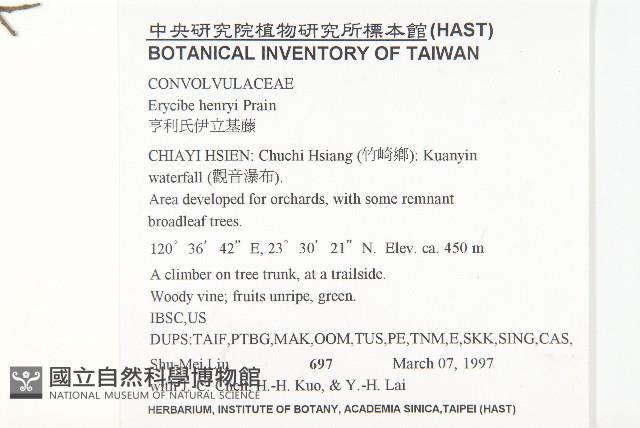 亨利氏伊立基藤藏品圖，第2張