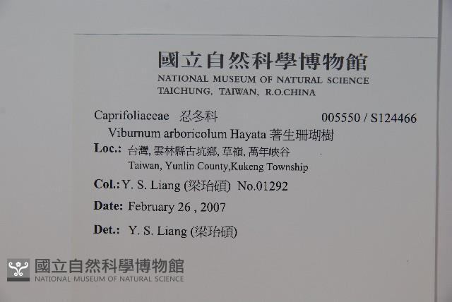 著生珊瑚樹藏品圖，第2張