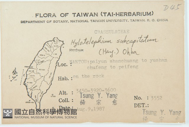 穗花八寶藏品圖，第2張