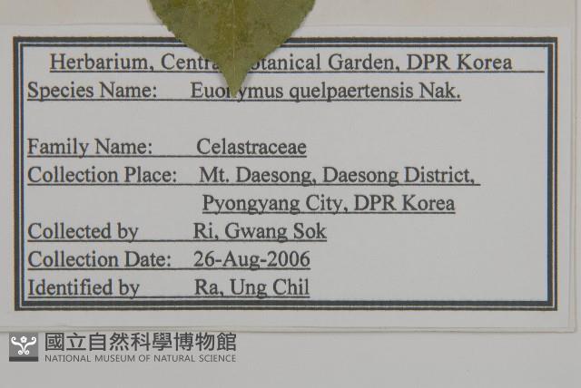 登錄號:S120166藏品圖，第2張