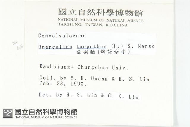 盒果藤藏品圖，第2張