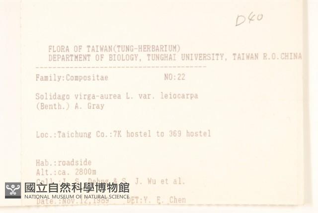 一枝黃花藏品圖，第2張