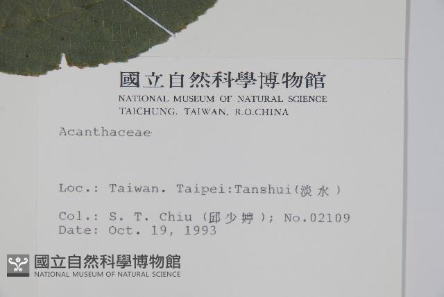 登錄號:S014166藏品圖，第2張