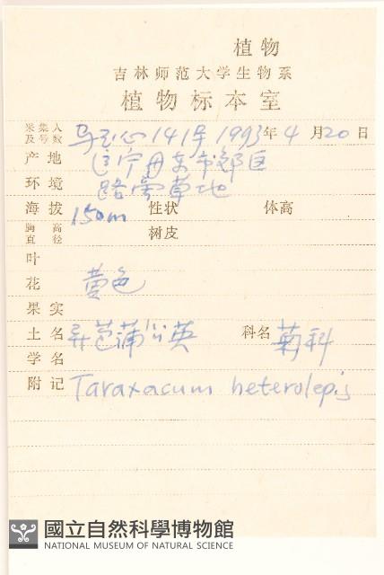 異苞蒲公英藏品圖，第2張