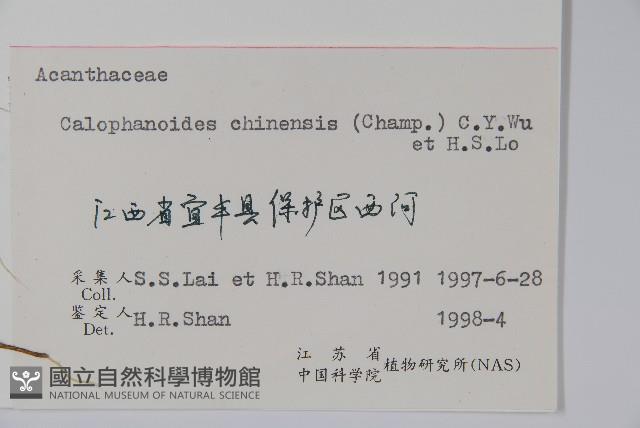 杜根藤藏品圖，第2張