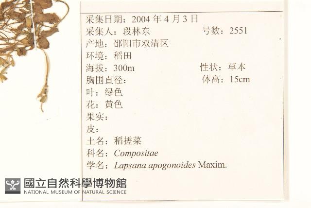 稻槎菜藏品圖，第2張