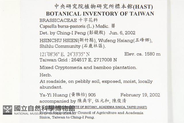 薺藏品圖，第2張