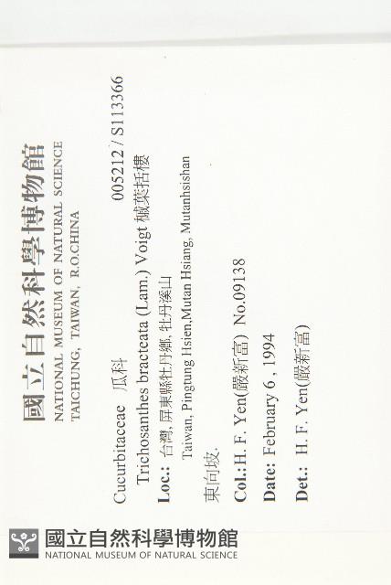 槭葉括樓藏品圖，第2張