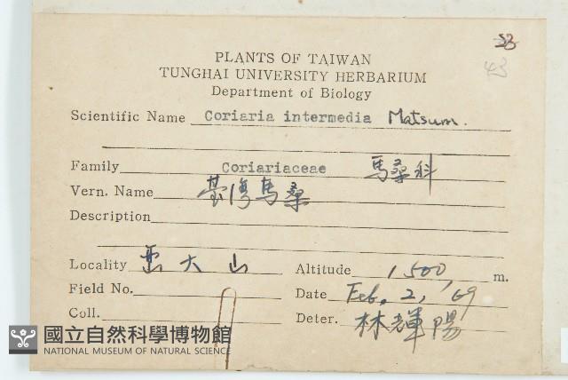 臺灣馬桑藏品圖，第2張