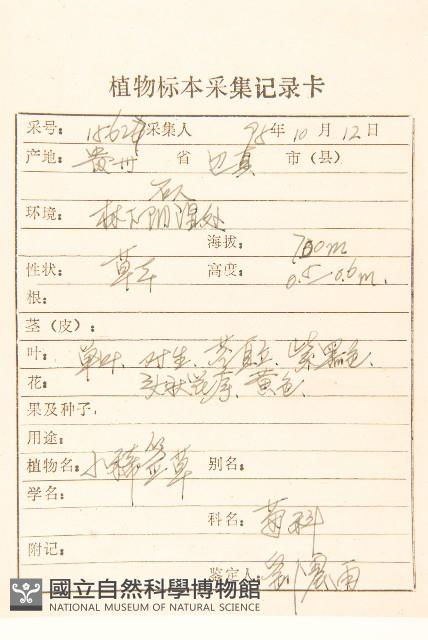 毛梗豨薟藏品圖，第2張