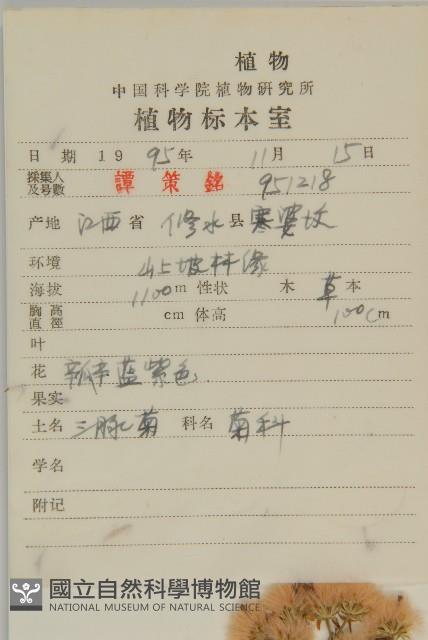 山白蘭藏品圖，第2張