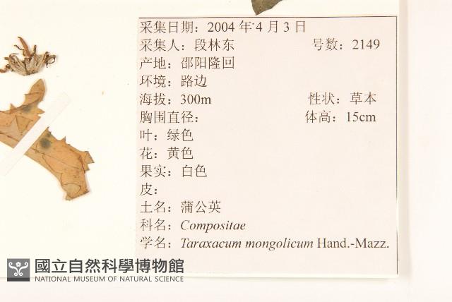 蒲公英藏品圖，第2張