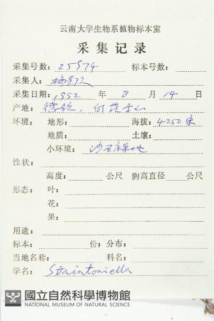 幹葉無隔芥藏品圖，第2張