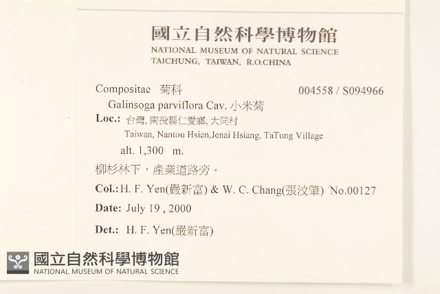 小米菊藏品圖，第2張