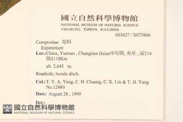 登錄號:S073966藏品圖，第2張