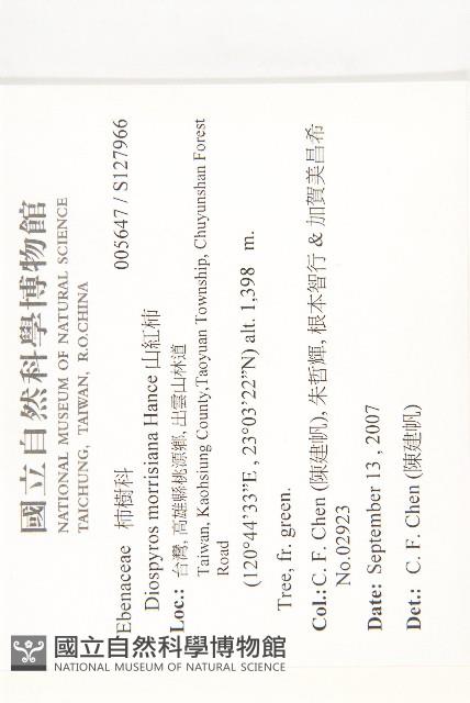 山紅柿藏品圖，第2張