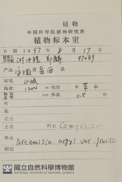 朝鮮艾蒿藏品圖，第2張