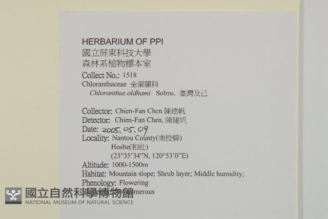 臺灣及己藏品圖，第2張