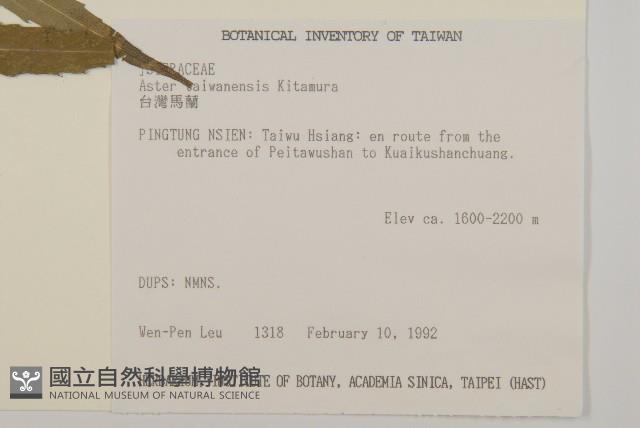 臺灣馬蘭藏品圖，第2張