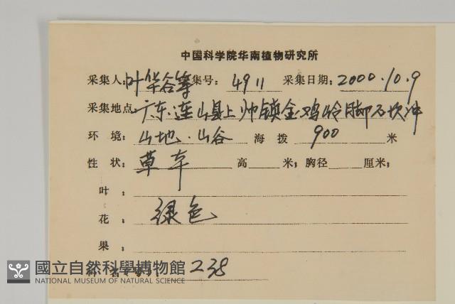 牡蒿藏品圖，第2張