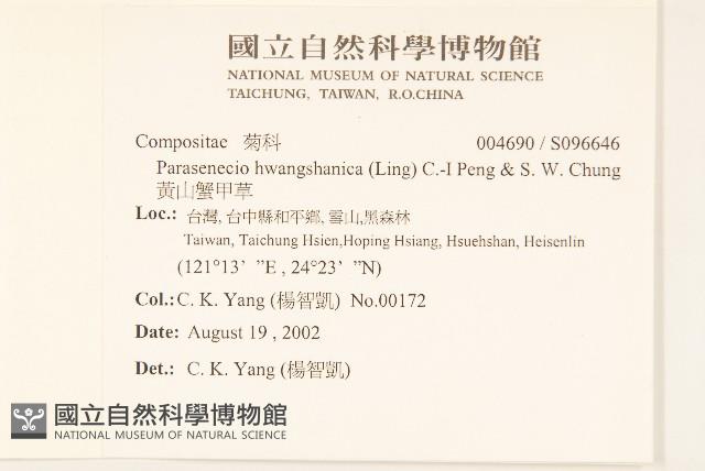 黃山蟹甲草藏品圖，第2張