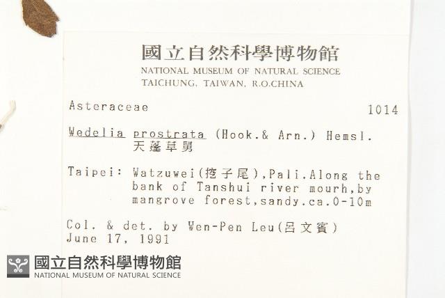 天蓬草舅藏品圖，第2張