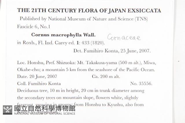 梜木藏品圖，第2張