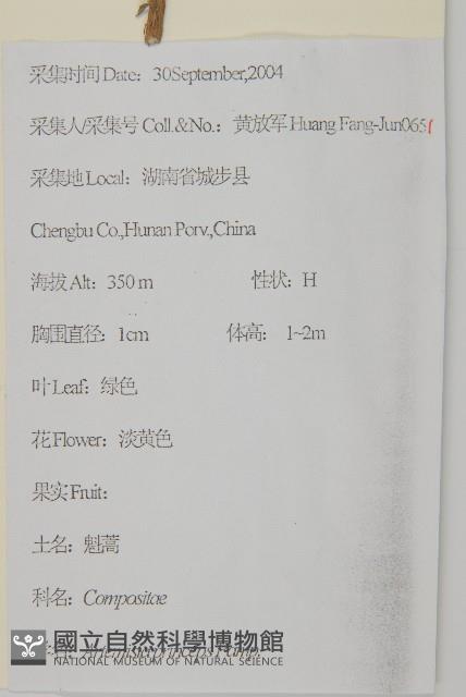 魁蒿藏品圖，第2張