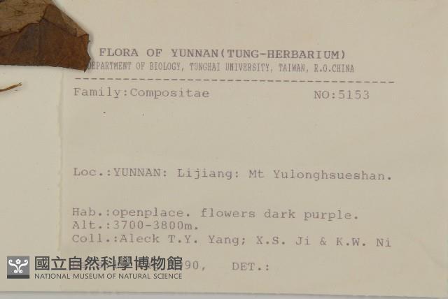 登錄號:S031646藏品圖，第2張