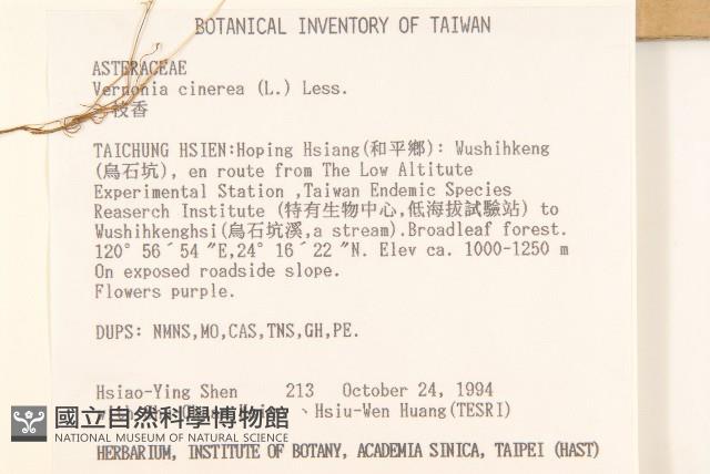 一枝香藏品圖，第2張