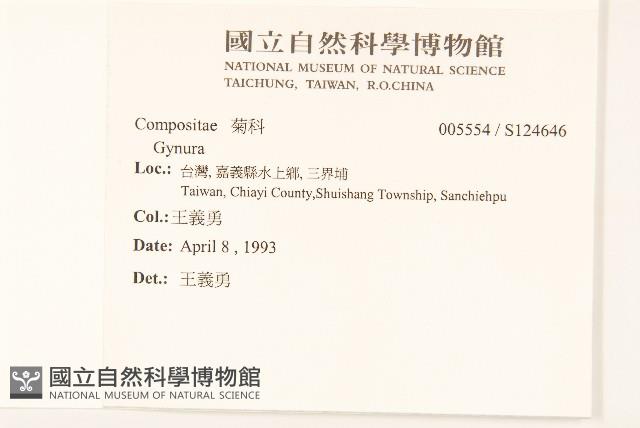 登錄號:S124646藏品圖，第2張