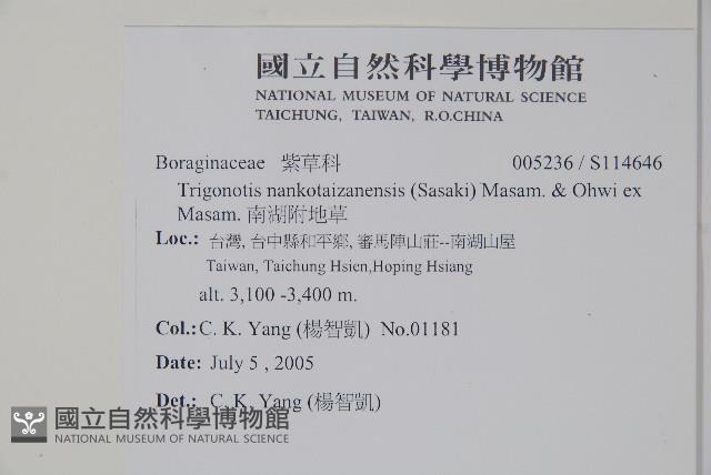 南湖附地草藏品圖，第2張