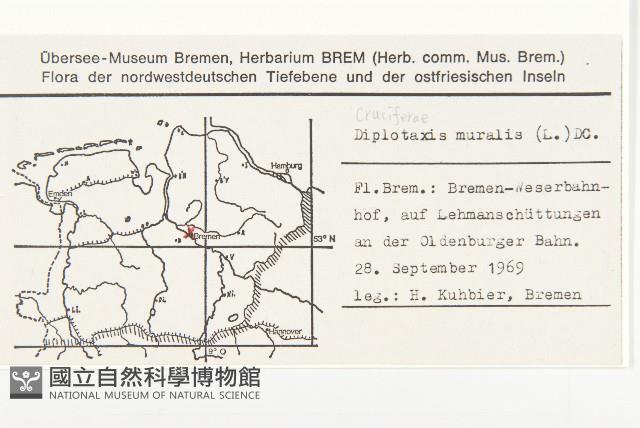 二行芥藏品圖，第2張