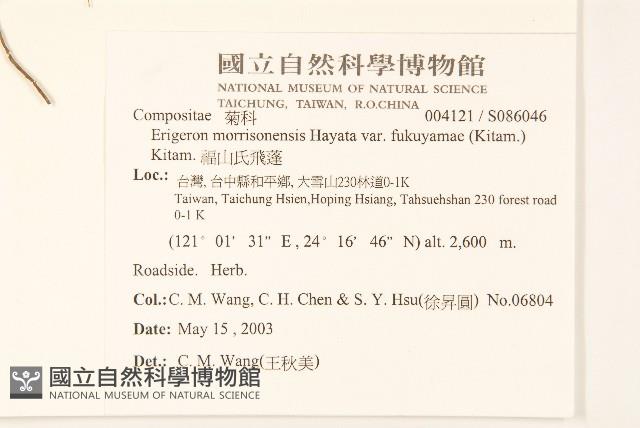 福山氏飛蓬藏品圖，第2張