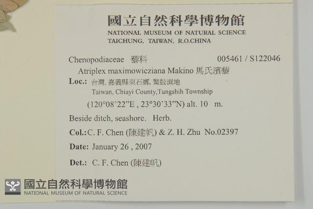 馬氏濱藜藏品圖，第2張