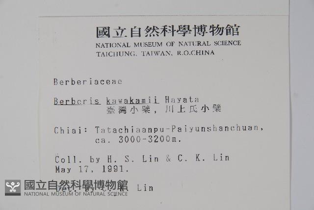 臺灣小蘗藏品圖，第2張