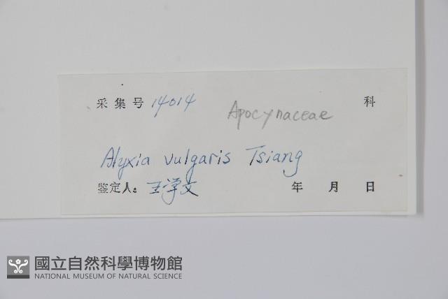 串珠子藏品圖，第2張